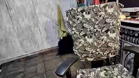 little_savage online show from 25, 3, 2026