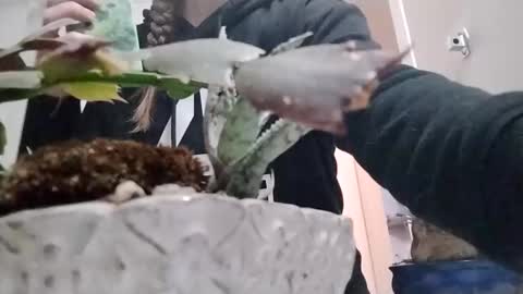 littleleo96 online show from 5, 10, 2025