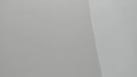 im olivia IG littleolivia01 online show from 29, 1, 2025