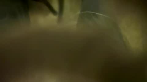 Little Tj online show from 6, 4, 2026