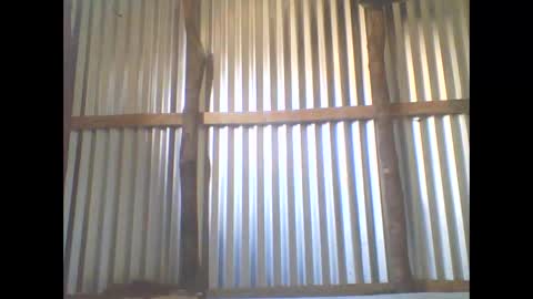 yanah online show from 5, 11, 2025