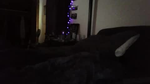 Liv Mirage online show from 22, 3, 2026