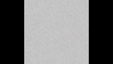 Liz  online show from 15, 2, 2025