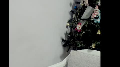 Snapshot of lizz1305 chatting on 26, 12, 2024 lizz1305 online show from 26, 12, 2024