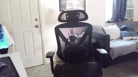 LongDick Daddy online show from 5, 1, 2026