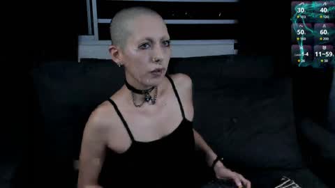 Lynx Mist online show from 3, 4, 2026