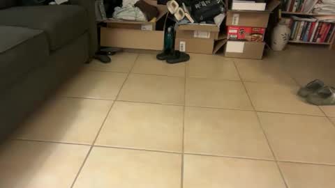 Snapshot of logical12345 chatting on 19, 1, 2026 logical12345 online show from 19, 1, 2026