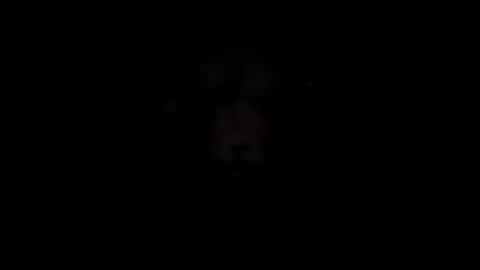lokatmydick online show from 13, 7, 2026
