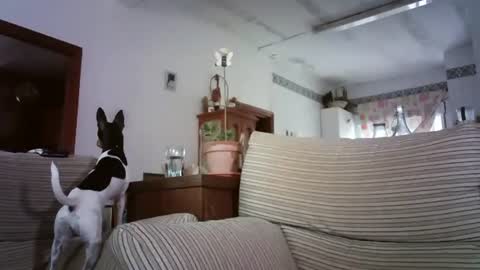 LOLA HUESO y ERIC online show from 6, 10, 2025