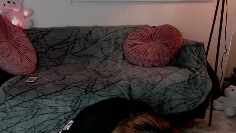 Lolly online show from 24, 2, 2026