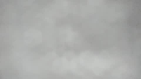 L O L Y -- E B O N Y online show from 17, 4, 2026