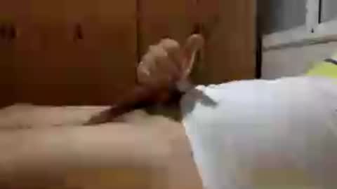 Snapshot of lonezane chatting on 30, 7, 2026 Handsome Cock online show from 30, 7, 2026