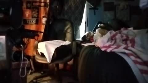 Mr. FogoDeChao online show from 5, 3, 2026