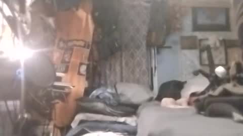 Mr. FogoDeChao online show from 20, 4, 2026