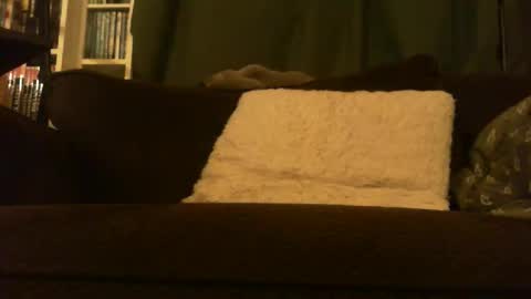 longlorne online show from 15, 2, 2026