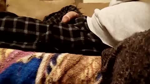 looking4bush online show from 3, 12, 2024