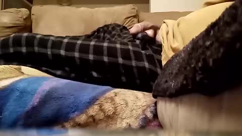 looking4bush online show from 13, 1, 2026