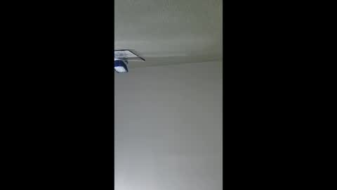 Snapshot of lopezpedro2791 chatting on 17, 12, 2025 2791 3D online show from 17, 12, 2025