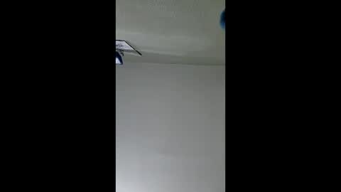 Snapshot of lopezpedro2791 chatting on 21, 12, 2025 2791 3D online show from 21, 12, 2025