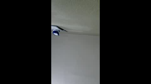 Snapshot of lopezpedro2791 chatting on 8, 1, 2026 2791 3D online show from 8, 1, 2026