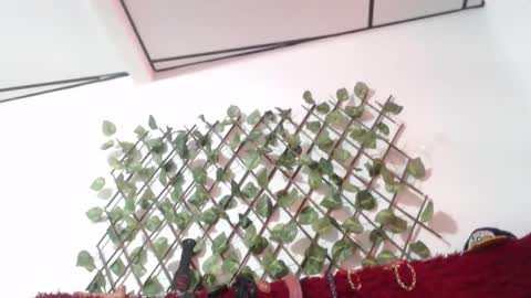 lorena  allison online show from 29, 10, 2025