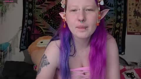 Lori Critter online show from 2, 8, 2026