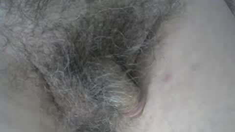 loveabush49 online show from 5, 11, 2025