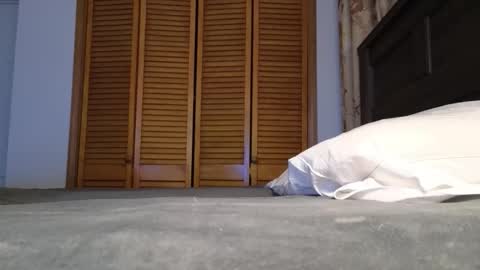 Amber online show from 7, 1, 2026