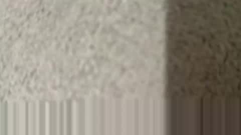 lovepan69 online show from 25, 3, 2026