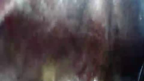 Snapshot of lover_mature2 chatting on 21, 2, 2025 Mature lover2 online show from 21, 2, 2025