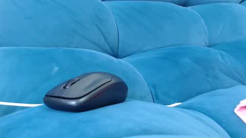 Snapshot of loveuniverse8 chatting on 27, 12, 2024 cutelucy 3 online show from 27, 12, 2024