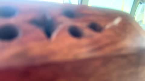 Snapshot of loveyourkittty chatting on 12, 3, 2025 StacyMaeWish online show from 12, 3, 2025