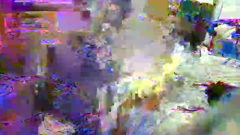 lu25humiliation online show from 21, 10, 2025