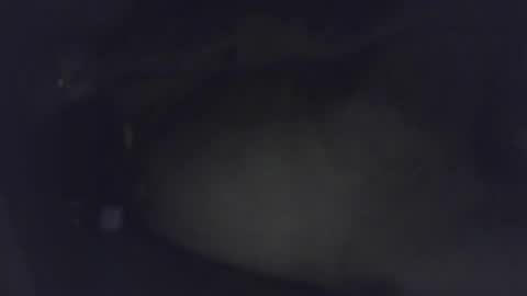 luca150500 online show from 30, 1, 2025