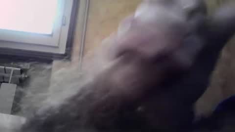 lucafava90 online show from 4, 1, 2025