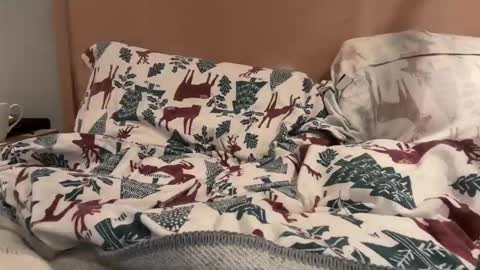 lucca_d123 online show from 22, 9, 2025