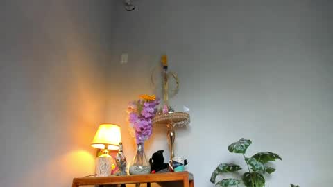Snapshot of lucian_davii chatting on 22, 4, 2026 Pirulo online show from 22, 4, 2026