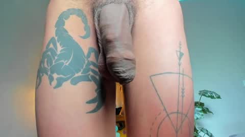 Snapshot of lucian_davii chatting on 29, 5, 2026 Pirulo online show from 29, 5, 2026