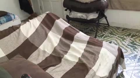 lucifer_curious online show from 28, 3, 2026