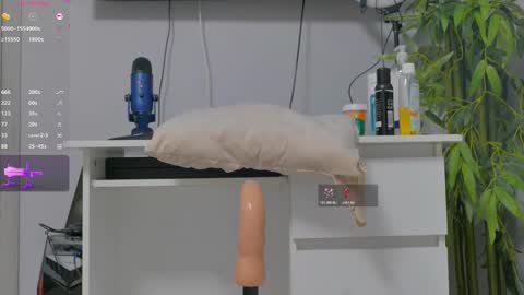 Alice online show from 10, 11, 2025