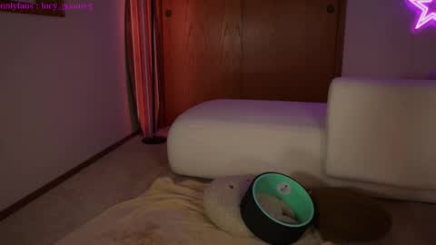 Lucy. online show from 3, 2, 2025