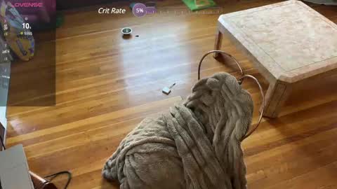 lucydreamsbaby online show from 12, 2, 2025