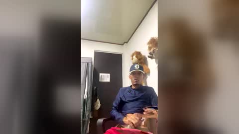 Leoncito online show from 7, 4, 2026
