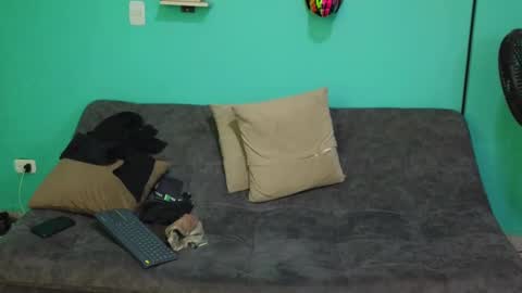 Snapshot of luigisb chatting on 19, 2, 2025 Luigi online show from 19, 2, 2025