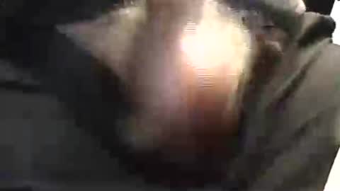 lukestarfckr online show from 29, 5, 2026