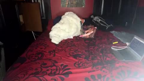 Lulu online show from 14, 2, 2025