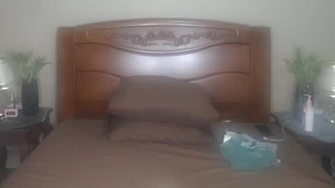 lulu_wild online show from 7, 11, 2025