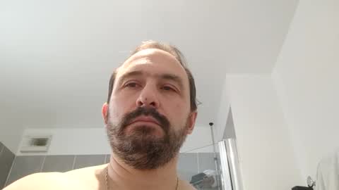 Ludo online show from 4, 3, 2025