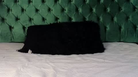 Lumars online show from 29, 1, 2025