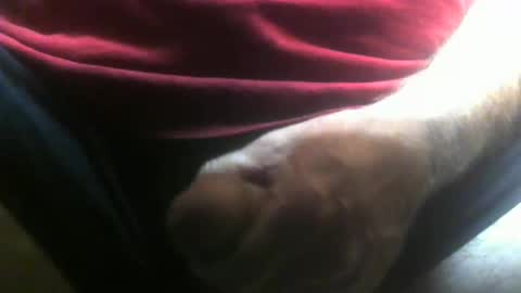 Snapshot of lunatica12 chatting on 10, 2, 2026 lunatica12 online show from 10, 2, 2026